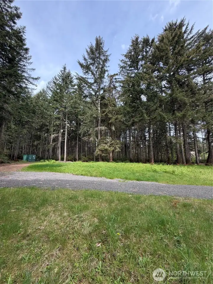 The well-maintained gravel driveway winds through towering Pacific Northwest conifers, leading to the interior of the property and the two build sites.