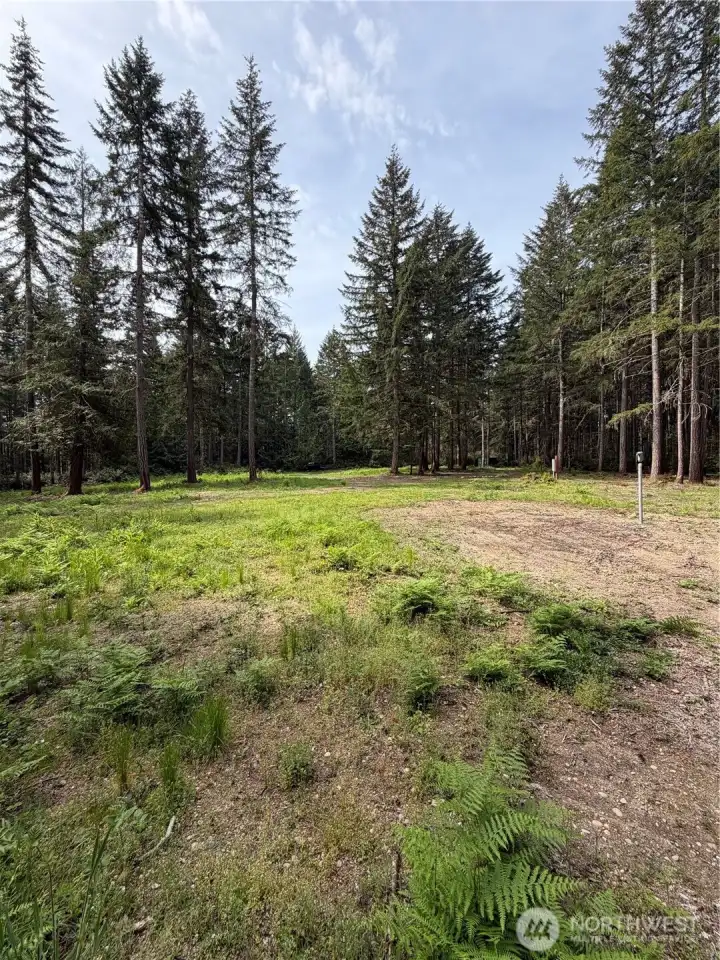 One of two cleared and level build sites on the property, with the electrical stub visible at center-right — power is already run to the lot and waiting.