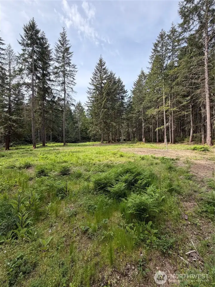 The approved 5-bedroom septic drain field area is cleared, level, and ready for installation. The preliminary site plan accommodates a 3-bedroom main home plus a detached 2-bedroom ADU, with the permit valid through November 2026