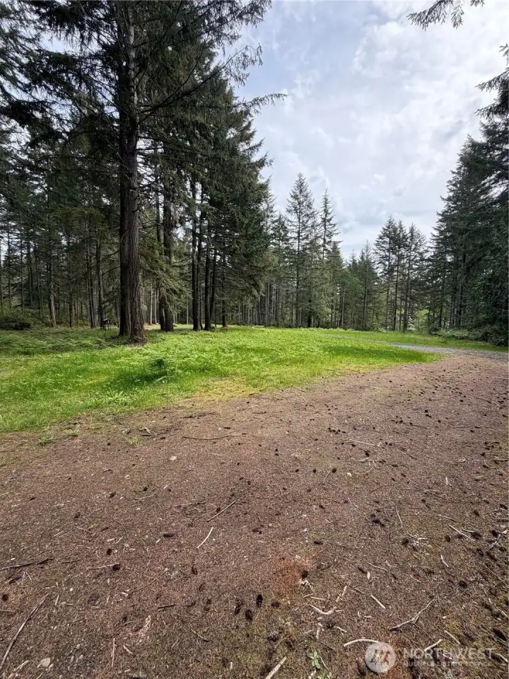 A wider view of the storage area and gravel drive shows the practical layout of the property. The container is positioned to stay out of the way of the primary build sites while remaining easily accessible.