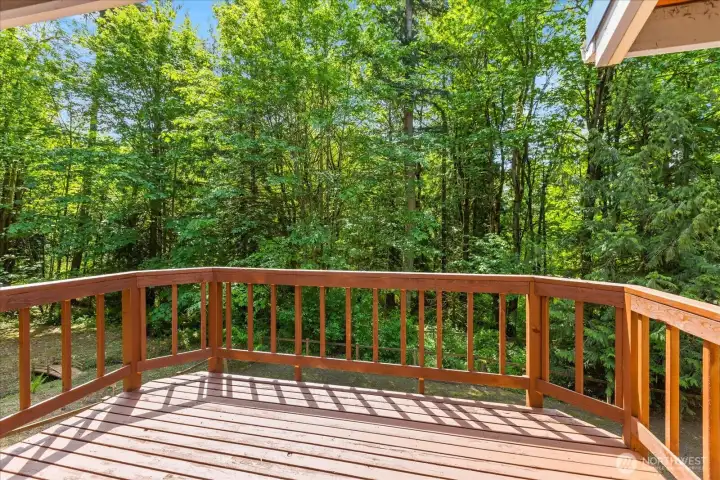 Deck overlooking the backyard.