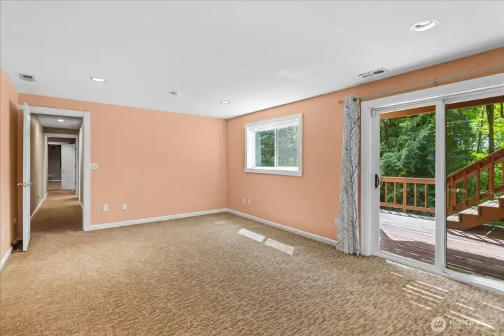 Downstairs flex space.