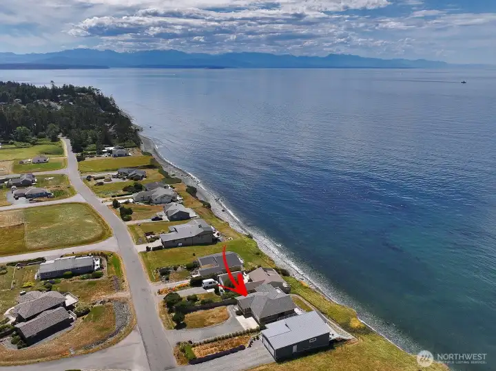 A front row seat to the incredible marine life here on Whidbey Island. A front row seat to the incredible marine life here on Whidbey Island.