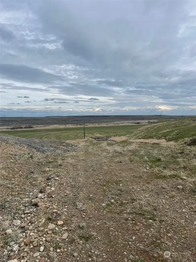 From inside the 79-acre parcel looking back towards the gate.