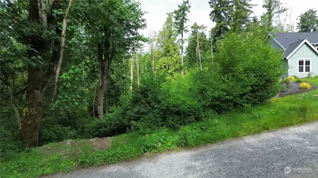 Downhill side of the property