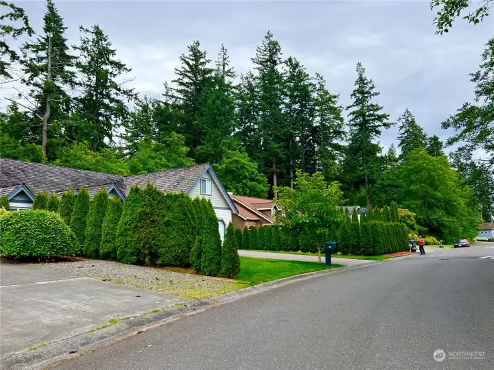 Street view from property