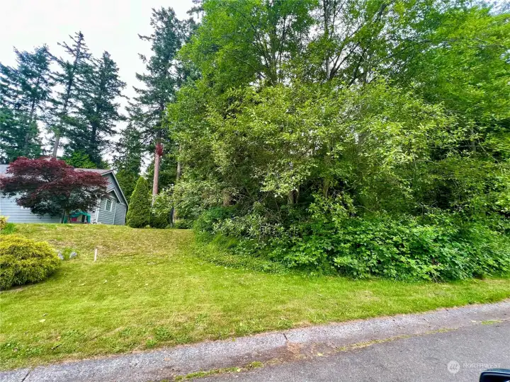 Property is white and trees