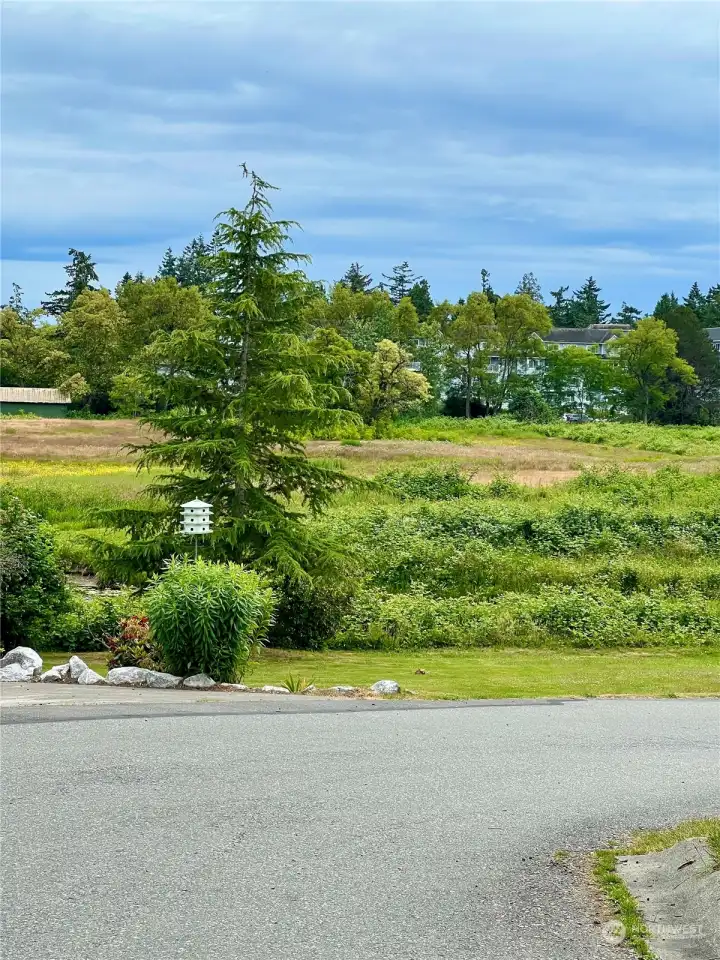 Lots of walking trails