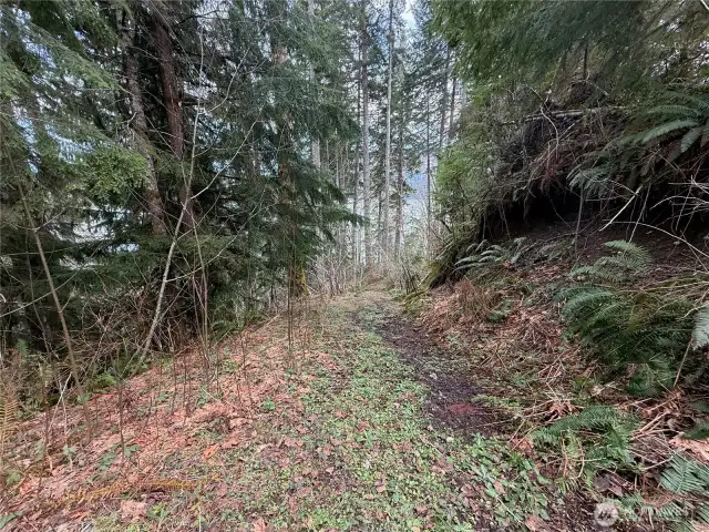 Trail down to lake
