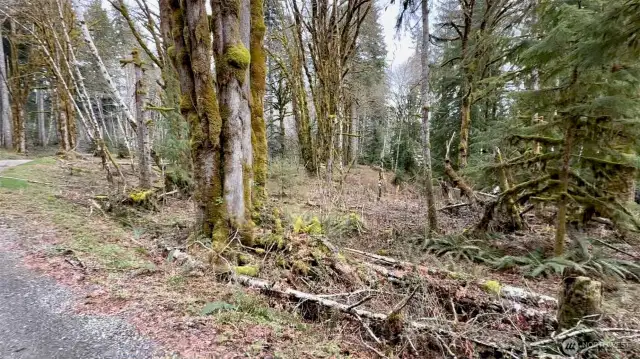 East Side of Property
