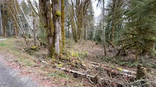 East side of property