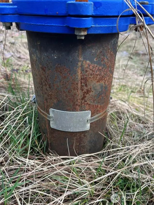 Well head in garden space