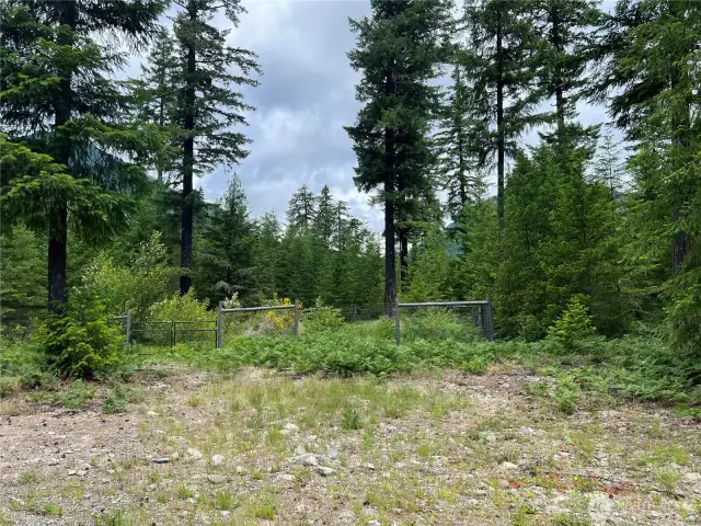 Fenced garden area with fruit trees