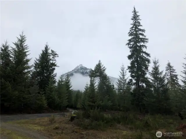 Mountain view of Butter Peak in the Tatoosh Range from garden space.