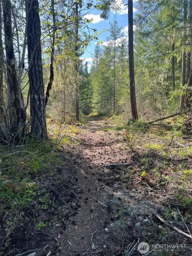 Pedestrian Easement trail to Butter Creek
