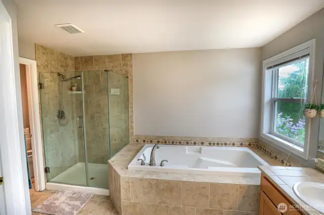 Primary Soaking Tub and Walk in Shower