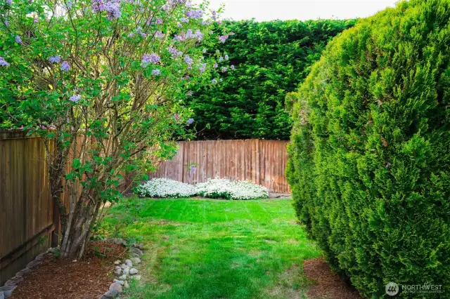 Side yard