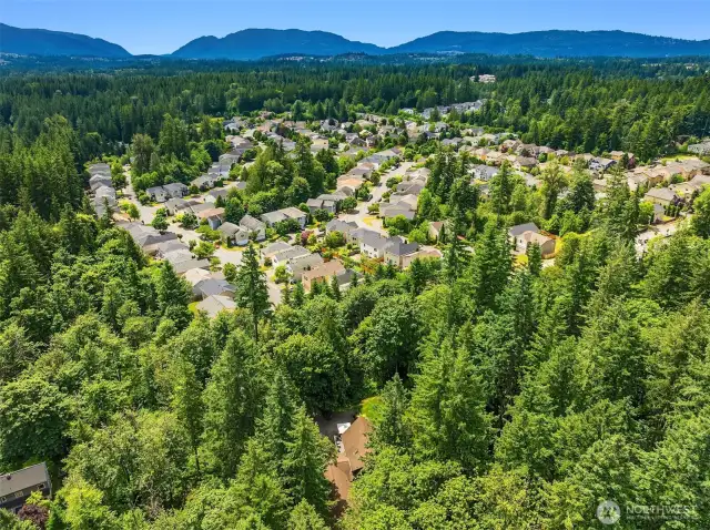 Aerial view.