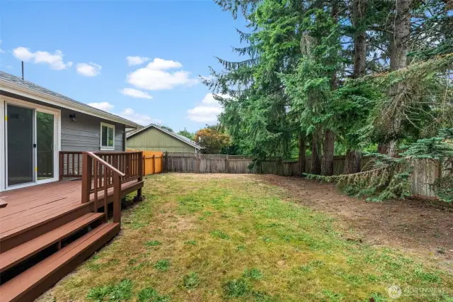 Large backyard