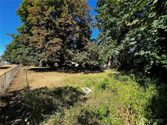 huge back yard