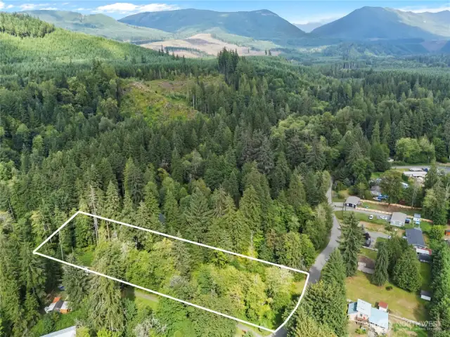 Lot 7 River n Forest Property boundary lines on this picture are estimates