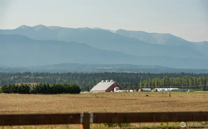 Stunning Olympic Mt Views over preserved farmlands