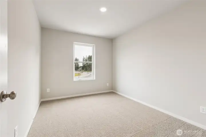 This is an example of an Alder in the community...Come see us 7 days a week to see in person!