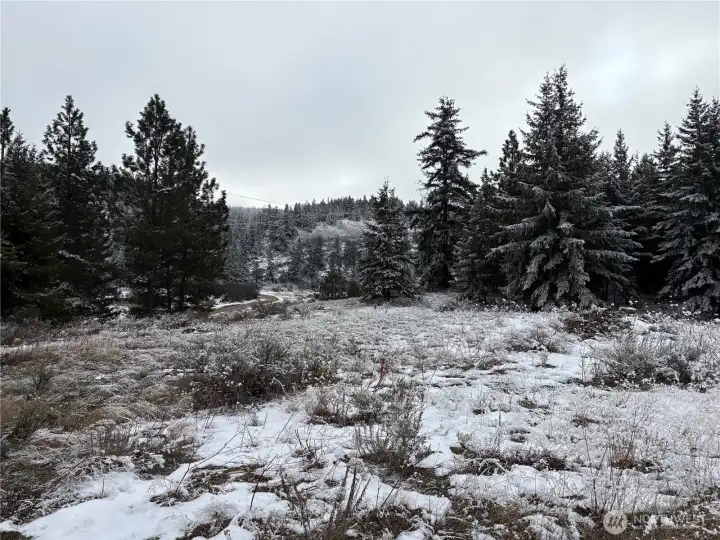 Relatively flat open spaces off of Redfield Rd.