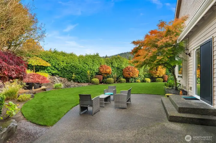 Lots of privacy in the backyard