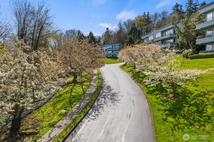 Beautiful trees at security gate entrance.