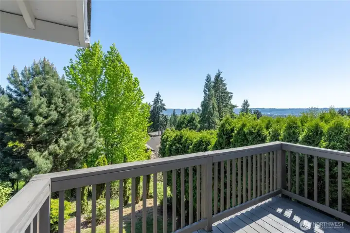 Deck with View