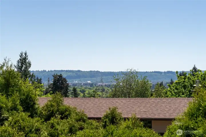 View of City from Deck.