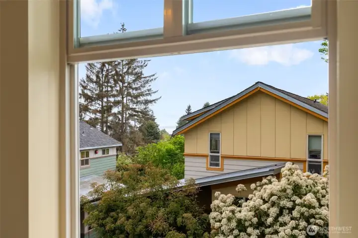 Peak-a-boo views!