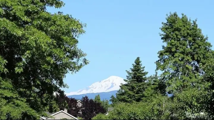 The view from the Kitchen dining area window -- Mt Baker!