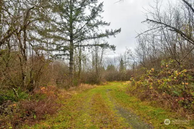 Private road on acreage for easy access.