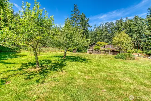 Apple trees dot the expansive front yard.