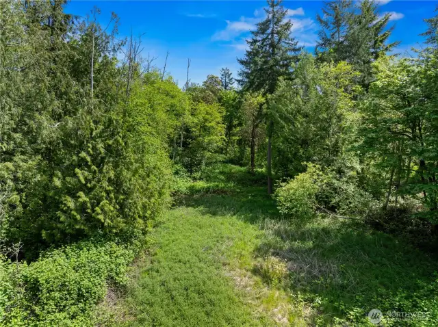 Surrounded by trees on 3 sides-