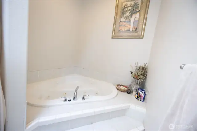 Jetted bathtub in primary bath