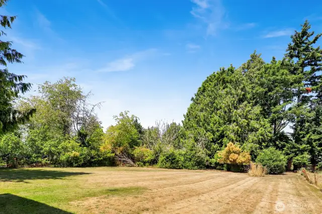 So much room to build an ADU, throw a ball, garden, or make into your own little park!