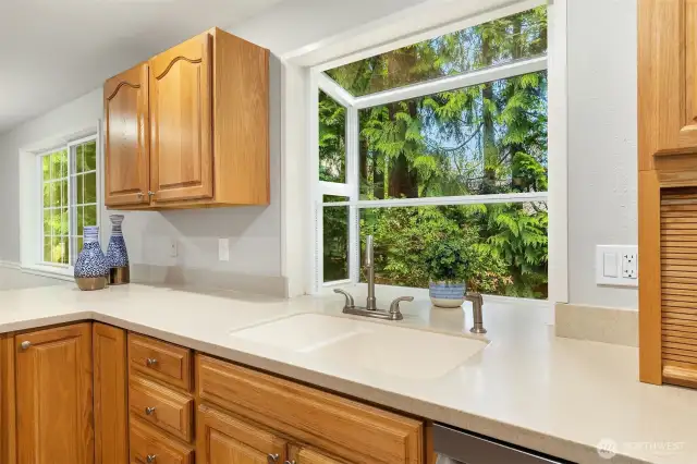 Garden window with view out to the private backyard.