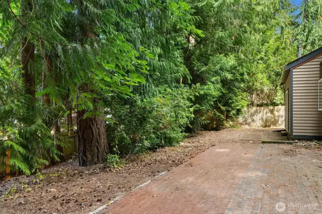 Open space to the left of the house, additional parking area for an additional RV or boat.