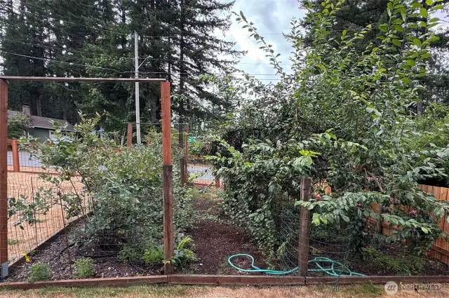 Garden space
