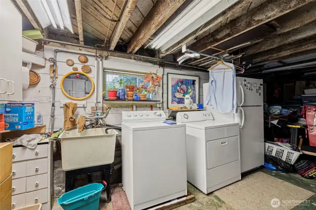 Laundry/storage area located on the lower level.