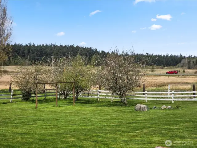 Orchard