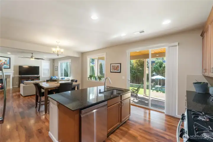 Open Kitchen/living concept