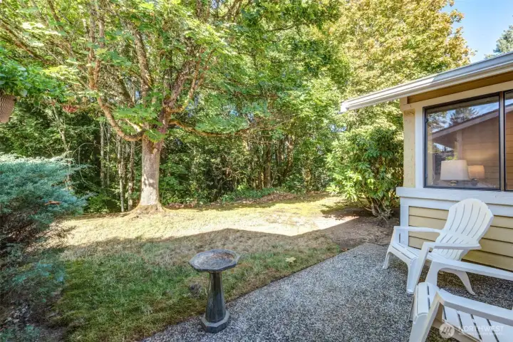Back yard, Greenbelt !!