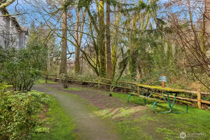 Serene open-space outlook showcasing the tranquil wooded surroundings that define this private Bainbridge Island setting.