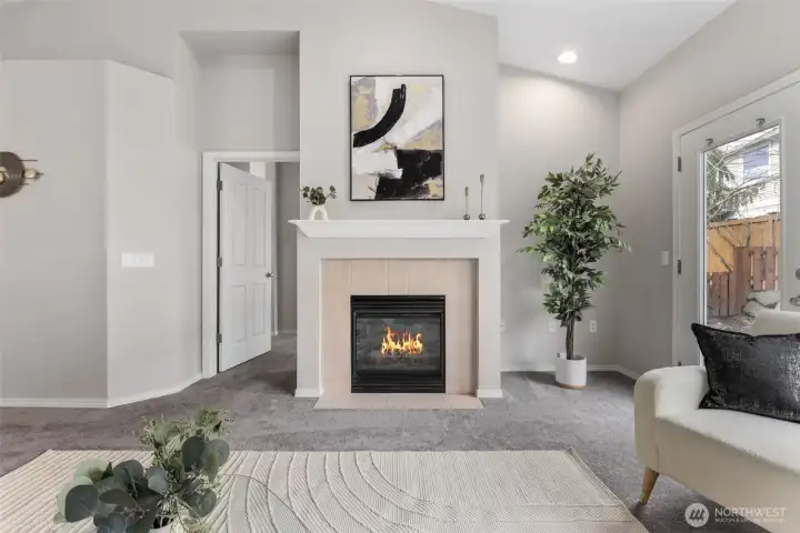 Gas fireplace