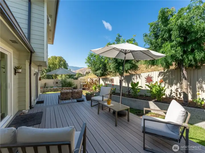 Six newly planted trees provide shade, privacy, and long-term curb appeal.