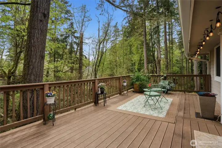 The deck off of the dining room will have you feeling like you live in a treehouse. T his is an amazing place to relax, bird watch, visit with guests, or barbecue!